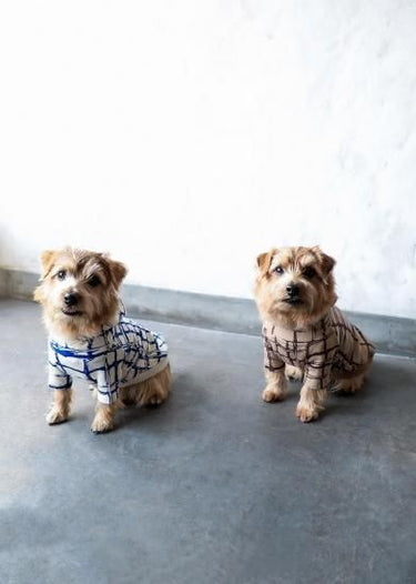 ★先行受注予約★2025AW★michirico DOG★michirico ミチリコ DOG hoodie MR-D-001