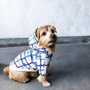 ★先行受注予約★2025AW★michirico DOG★michirico ミチリコ DOG hoodie MR-D-001