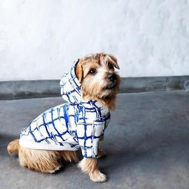 ★先行受注予約★2025AW★michirico DOG★michirico ミチリコ DOG hoodie MR-D-001