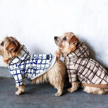 ★先行受注予約★2025AW★michirico DOG★michirico ミチリコ DOG hoodie MR-D-001