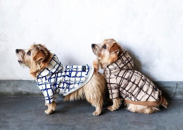 ★先行受注予約★2025AW★michirico DOG★michirico ミチリコ DOG hoodie MR-D-001