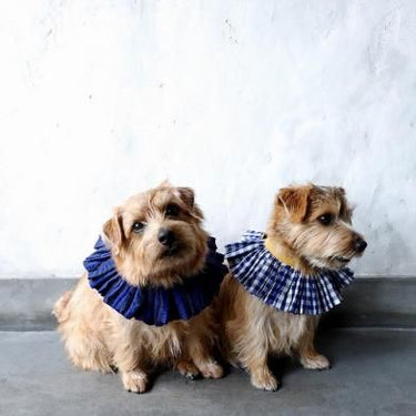 ★先行受注予約★2025AW★michirico DOG★michirico ミチリコ DOG Shirring check gather collar MR-D-003