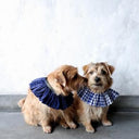 ★先行受注予約★2025AW★michirico DOG★michirico ミチリコ DOG Shirring check gather collar MR-D-003
