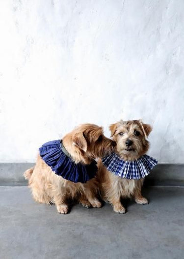 ★先行受注予約★2025AW★michirico DOG★michirico ミチリコ DOG Shirring check gather collar MR-D-003