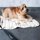 ★先行受注予約★2025AW★michirico DOG★michirico ミチリコ DOG café mat MR-D-004