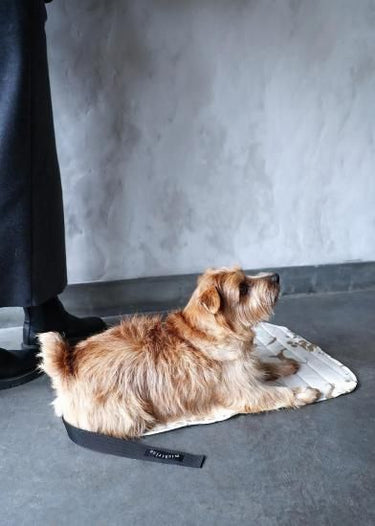 ★先行受注予約★2025AW★michirico DOG★michirico ミチリコ DOG café mat MR-D-004