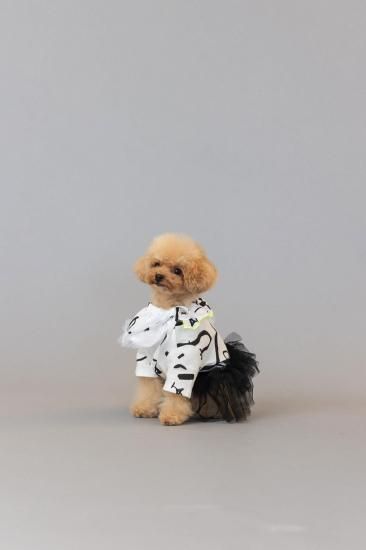 ★frankygrow DOG★frankygrow フランキーグロウ フリルチュールTシャツドレス WHITE-BLACK 25F2DG006