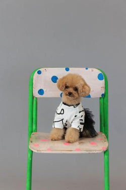 ★frankygrow DOG★frankygrow フランキーグロウ フリルチュールTシャツドレス WHITE-BLACK 25F2DG006