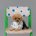 ★frankygrow DOG★frankygrow フランキーグロウ フリルチュールTシャツドレス WHITE-BLACK 25F2DG006