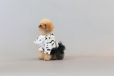 ★frankygrow DOG★frankygrow フランキーグロウ フリルチュールTシャツドレス WHITE-BLACK 25F2DG006