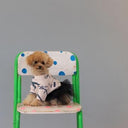 ★frankygrow DOG★frankygrow フランキーグロウ フリルチュールTシャツドレス PINK-BLACK 25F2DG006