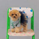 ★frankygrow DOG★frankygrow フランキーグロウ フリルチュールTシャツドレス GRAY-GREEN 25F2DG006