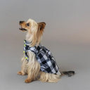 ★frankygrow DOG★frankygrow アシンメトリーカラーシャツ PLAID-BLACK 25F2DG007