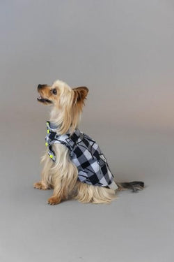 ★frankygrow DOG★frankygrow アシンメトリーカラーシャツ PLAID-BLACK 25F2DG007
