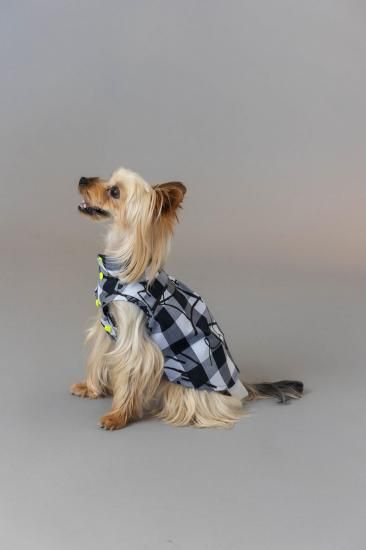 ★frankygrow DOG★frankygrow アシンメトリーカラーシャツ PLAID-BLACK 25F2DG007