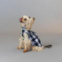 ★frankygrow DOG★frankygrow アシンメトリーカラーシャツ PLAID-BLACK 25F2DG007