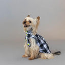 ★frankygrow DOG★frankygrow アシンメトリーカラーシャツ PLAID-BLACK 25F2DG007