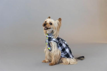 ★frankygrow DOG★frankygrow アシンメトリーカラーシャツ PLAID-BLACK 25F2DG007
