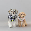 ★frankygrow DOG★frankygrow アシンメトリーカラーシャツ PLAID-BLACK 25F2DG007