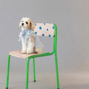 ★frankygrow DOG★frankygrow アシンメトリーカラーシャツ BLUE STRIPE-SILVER 25F2DG007