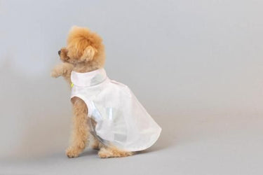 ★frankygrow DOG★frankygrow アシンメトリーカラーシャツ PINK-SILVER 25F2DG007