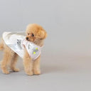 ★frankygrow DOG★frankygrow アシンメトリーカラーシャツ PINK-SILVER 25F2DG007
