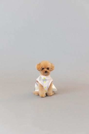 ★frankygrow DOG★frankygrow アシンメトリーカラーシャツ PINK-SILVER 25F2DG007