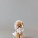 ★frankygrow DOG★frankygrow アシンメトリーカラーシャツ PINK-SILVER 25F2DG007