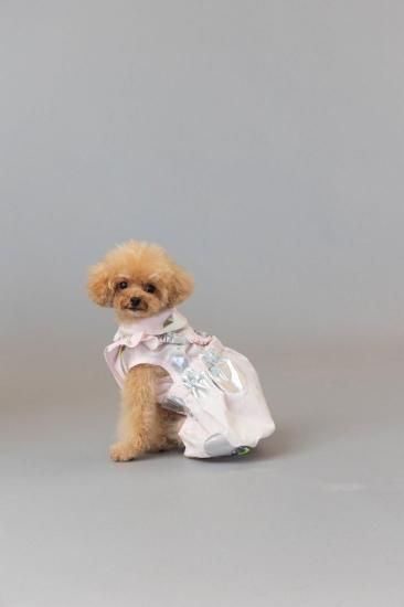 ★frankygrow DOG★frankygrow アシンメトリーカラーシャツ PINK-SILVER 25F2DG007