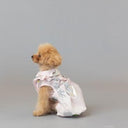 ★frankygrow DOG★frankygrow アシンメトリーカラーシャツ PINK-SILVER 25F2DG007