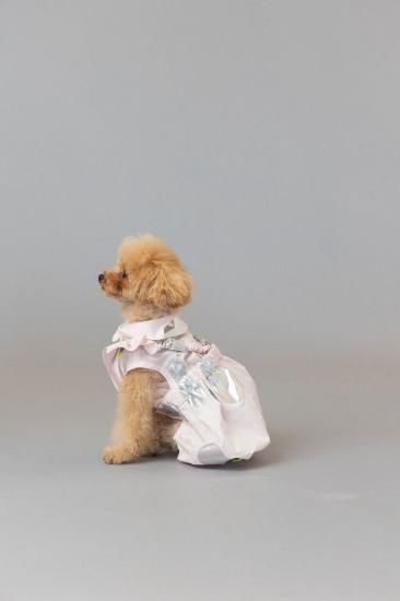★frankygrow DOG★frankygrow アシンメトリーカラーシャツ PINK-SILVER 25F2DG007
