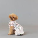 ★frankygrow DOG★frankygrow アシンメトリーカラーシャツ PINK-SILVER 25F2DG007
