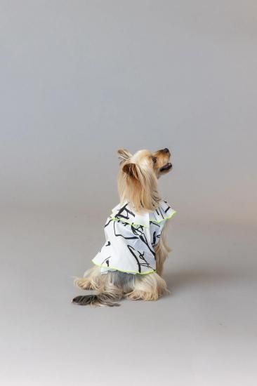★frankygrow DOG★frankygrow プリーツカラーシャツ WHITE-BLACK 25F2DG008