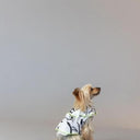 ★frankygrow DOG★frankygrow プリーツカラーシャツ WHITE-BLACK 25F2DG008