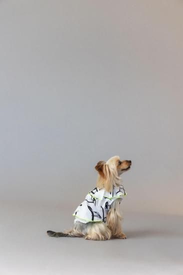 ★frankygrow DOG★frankygrow プリーツカラーシャツ WHITE-BLACK 25F2DG008