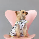 ★frankygrow DOG★frankygrow プリーツカラーシャツ WHITE-BLACK 25F2DG008
