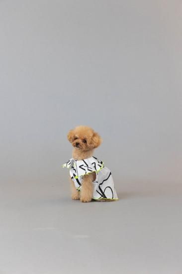 ★frankygrow DOG★frankygrow プリーツカラーシャツ WHITE-BLACK 25F2DG008