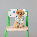 ★frankygrow DOG★frankygrow プリーツカラーシャツ WHITE-BLACK 25F2DG008