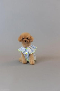 ★frankygrow DOG★frankygrow プリーツカラーシャツ BLUE STRIPE-SILVER 25F2DG008