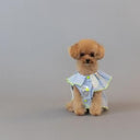 ★frankygrow DOG★frankygrow プリーツカラーシャツ BLUE STRIPE-SILVER 25F2DG008