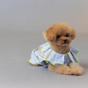 ★frankygrow DOG★frankygrow プリーツカラーシャツ BLUE STRIPE-SILVER 25F2DG008