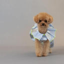 ★frankygrow DOG★frankygrow プリーツカラーシャツ BLUE STRIPE-SILVER 25F2DG008