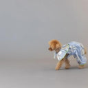 ★frankygrow DOG★frankygrow プリーツカラーシャツ BLUE STRIPE-SILVER 25F2DG008