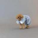 ★frankygrow DOG★frankygrow プリーツカラーシャツ BLUE STRIPE-SILVER 25F2DG008