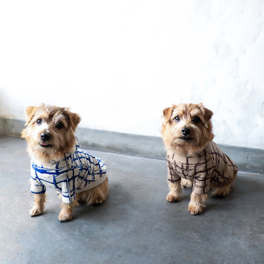 ★入荷済み★2025AW★michirico DOG★michirico ミチリコ DOG hoodie カフェオレ MR-D-001