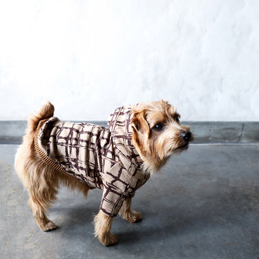 ★入荷済み★2025AW★michirico DOG★michirico ミチリコ DOG hoodie カフェオレ MR-D-001