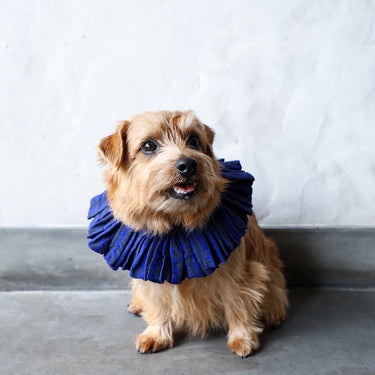 ★入荷済み★2025AW★michirico DOG★michirico ミチリコ DOG Shirring check gather collar 黒×青チェック MR-D-003