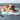 ★9-10月入荷予定ご予約★2025AW★michirico DOG★michirico ミチリコ DOG caf&#233; mat グリーン MR-D-004