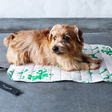 ★入荷済み★2025AW★michirico DOG★michirico ミチリコ DOG café mat グリーン MR-D-004
