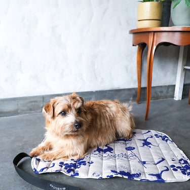 ★入荷済み★2025AW★michirico DOG★michirico ミチリコ DOG café mat サファイアブルー MR-D-004